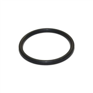 ANEL DE VEDACAO P/ TAMPA DE BATERIA DE SENSOR /H7/20X1mm